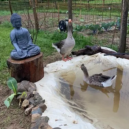 Гостевой дом La Bastide D'albignac Le Dourn