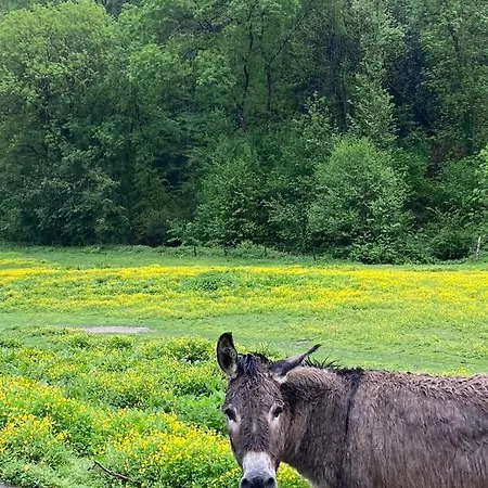 Гостевой дом La Bastide D'albignac