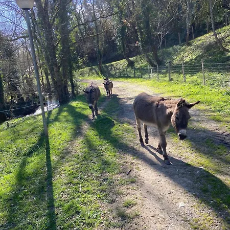 La Bastide D'albignac *