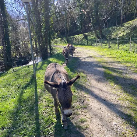 La Bastide D'albignac Le Dourn