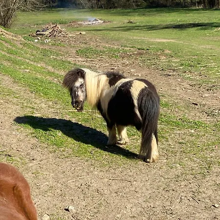 La Bastide D'albignac
