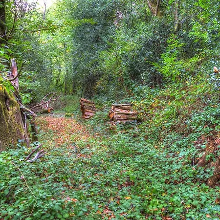 La Bastide D'albignac Le Dourn