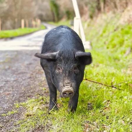 La Bastide D'albignac Гостевой дом *