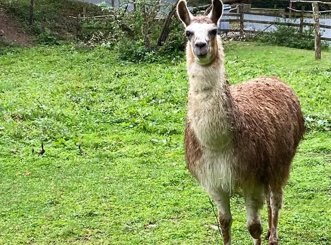 La Bastide D'albignac Гостевой дом Le Dourn