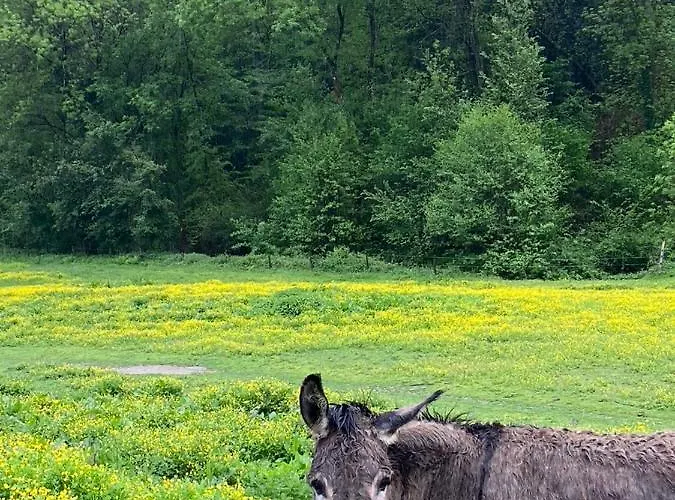 Гостевой дом La Bastide D'albignac