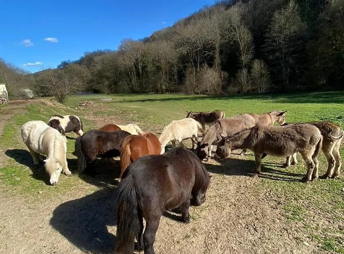 La Bastide D'albignac *