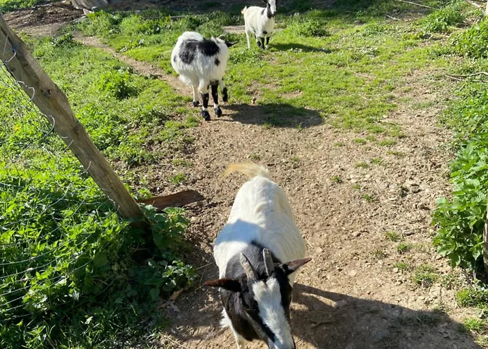 La Bastide D'albignac