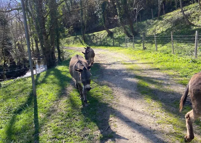 La Bastide D'albignac Гостевой дом Le Dourn