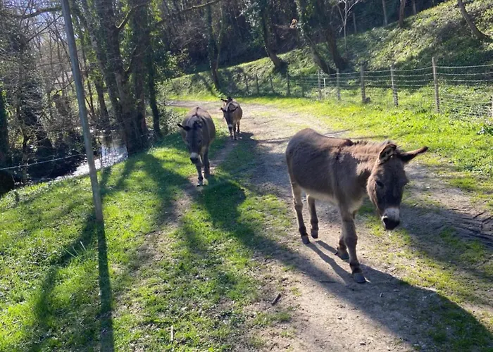 La Bastide D'albignac *