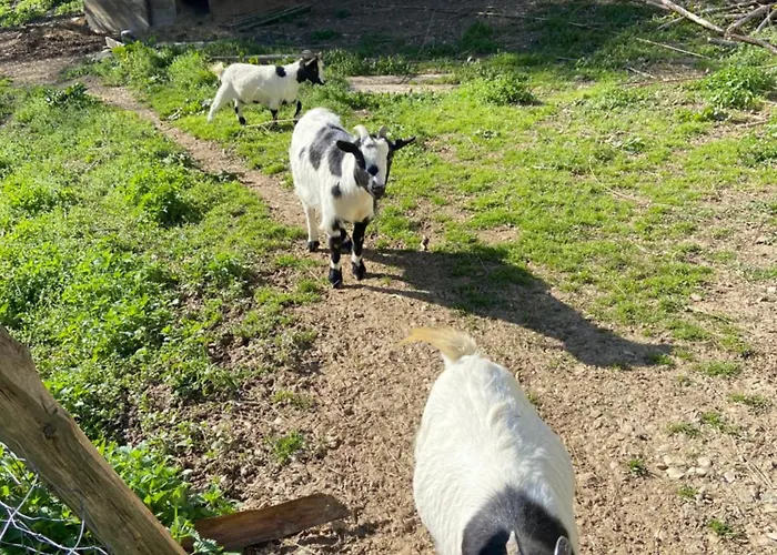 La Bastide D'albignac * Le Dourn