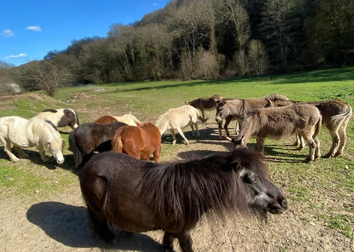 Gasthof La Bastide D'albignac *