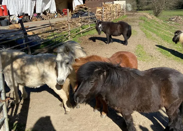 Gasthof La Bastide D'albignac *