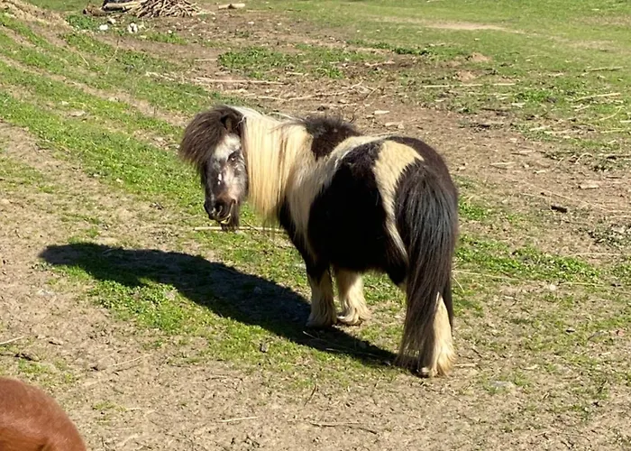 La Bastide D'albignac