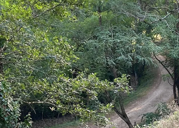 La Bastide D'albignac *