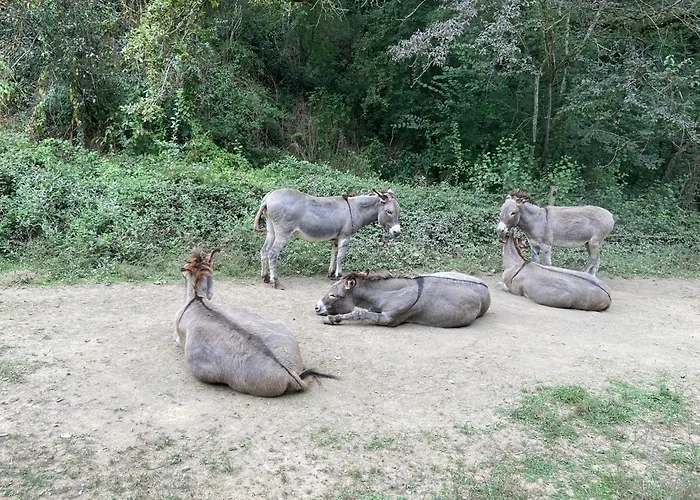 Гостевой дом La Bastide D'albignac Le Dourn