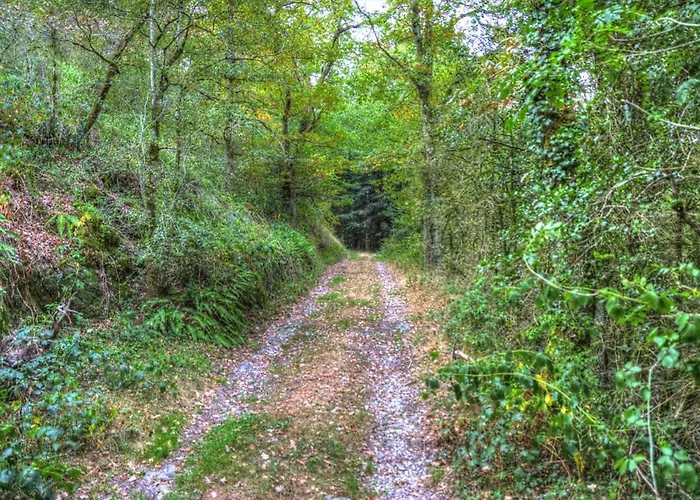 Гостевой дом La Bastide D'albignac Le Dourn