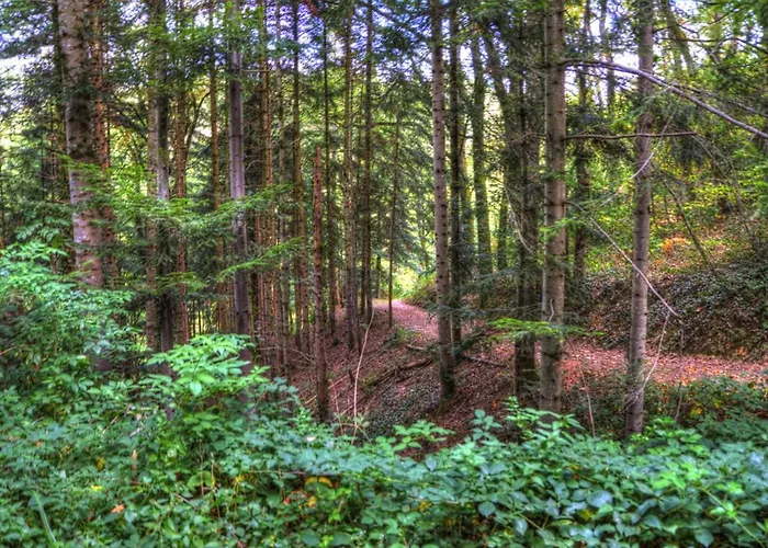 La Bastide D'albignac Гостевой дом Le Dourn