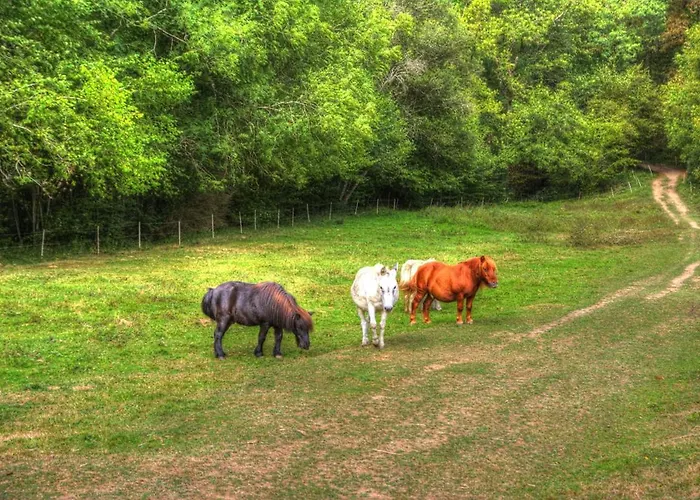 La Bastide D'albignac Гостевой дом Le Dourn