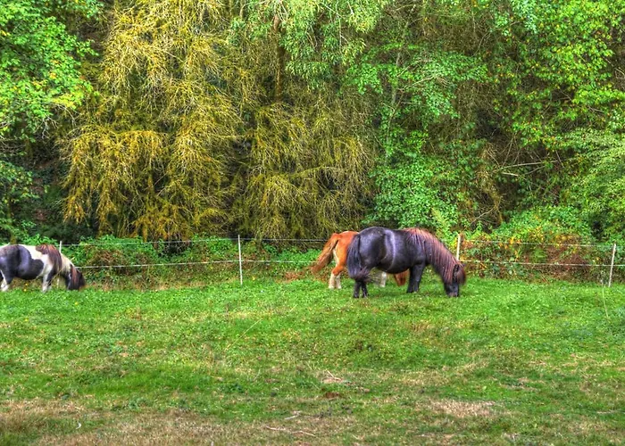 La Bastide D'albignac