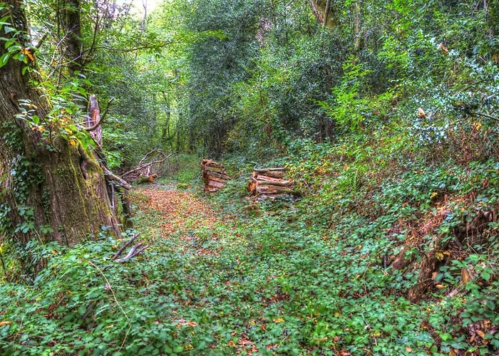 La Bastide D'albignac Le Dourn