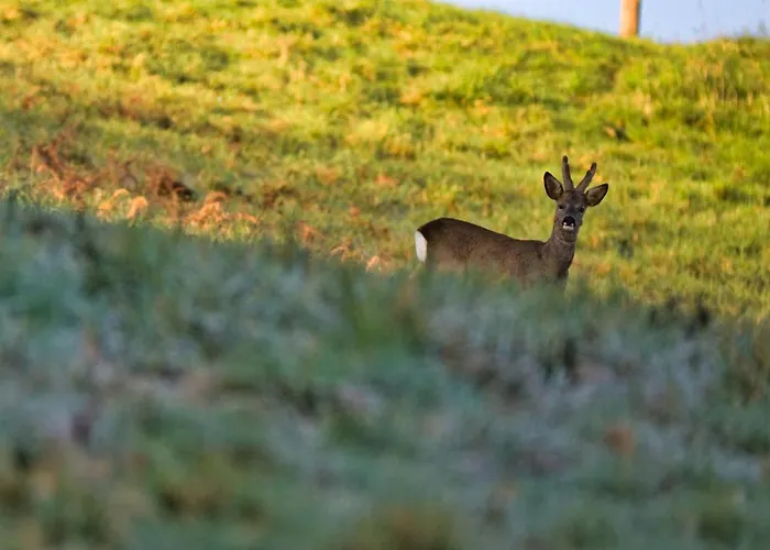 La Bastide D'albignac * Le Dourn