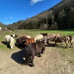 La Bastide D'albignac *