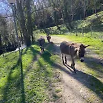 La Bastide D'albignac *