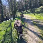 La Bastide D'albignac Le Dourn