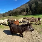 Konukevi La Bastide D'albignac *
