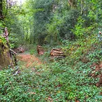 La Bastide D'albignac Le Dourn