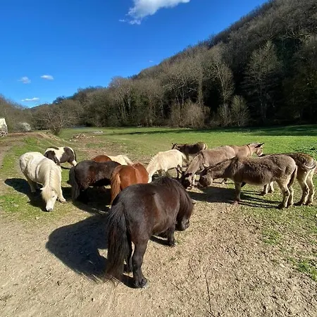 La Bastide D'albignac *