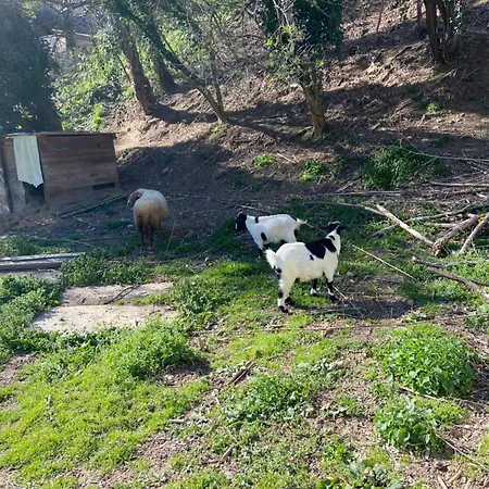 La Bastide D'albignac Le Dourn
