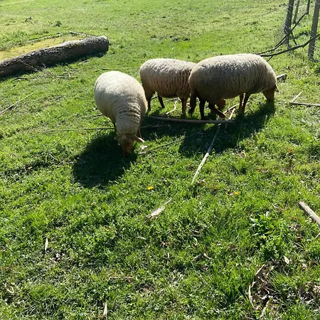 Konukevi La Bastide D'albignac *