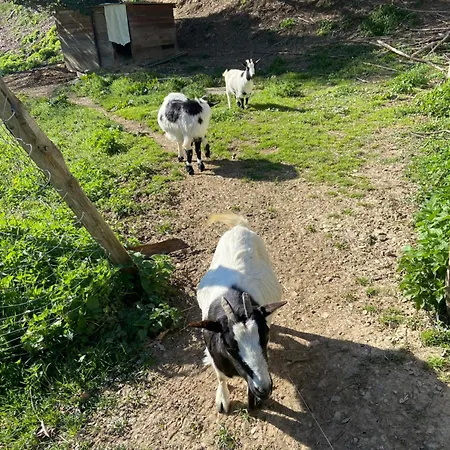 La Bastide D'albignac
