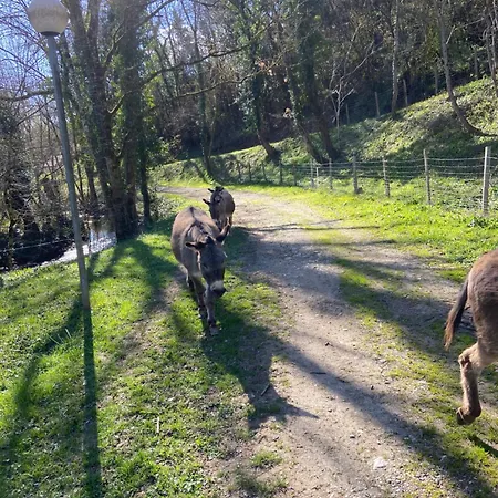 La Bastide D'albignac Vendégház Le Dourn