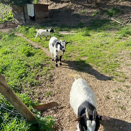 La Bastide D'albignac * Le Dourn