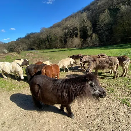Vendégház La Bastide D'albignac *