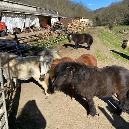 Vendégház La Bastide D'albignac *