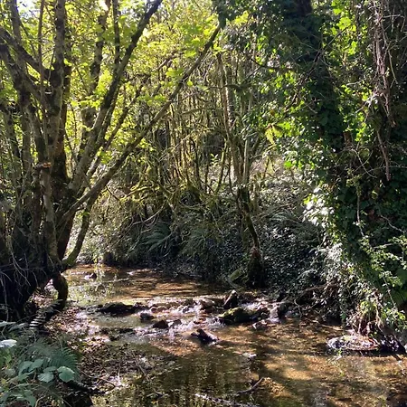 Πανσιόν La Bastide D'albignac *