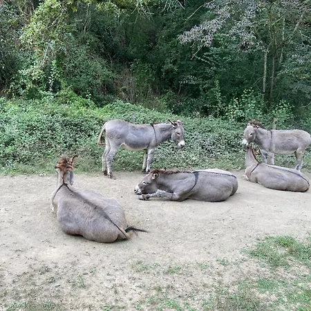 Vendégház La Bastide D'albignac Le Dourn