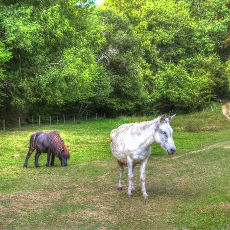 La Bastide D'albignac Vendégház Le Dourn