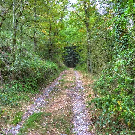 Πανσιόν La Bastide D'albignac Le Dourn