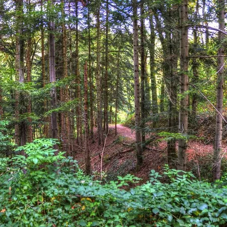 La Bastide D'albignac Vendégház Le Dourn