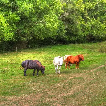 La Bastide D'albignac Vendégház Le Dourn