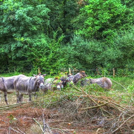 La Bastide D'albignac Vendégház