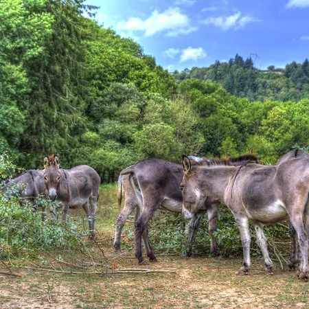 La Bastide D'albignac Vendégház Le Dourn