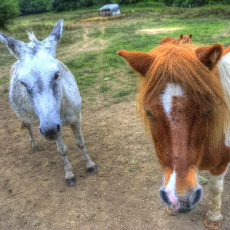 La Bastide D'albignac
