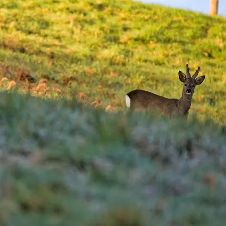 La Bastide D'albignac * Le Dourn