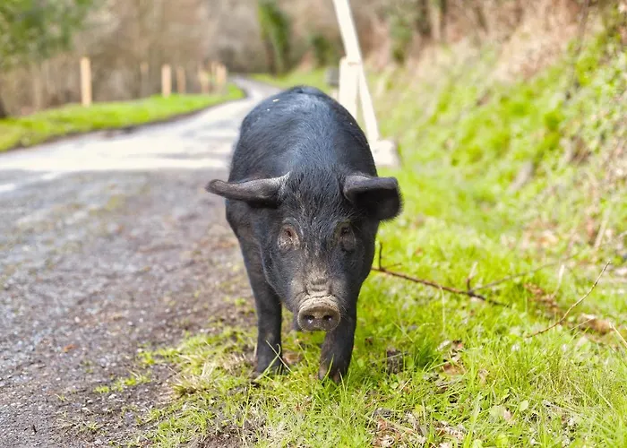 La Bastide D'albignac Penzion *